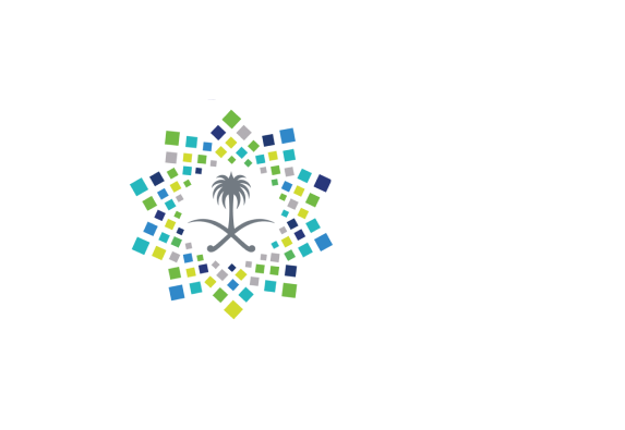 Saudi Vision 2030 Logo